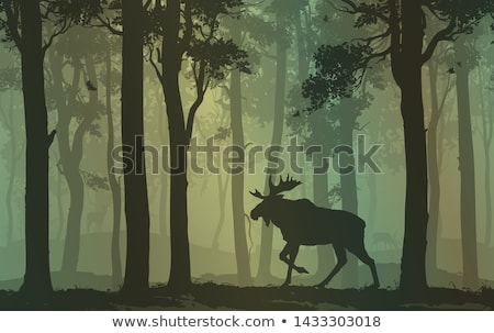 Foto stock: Moose In The Woods