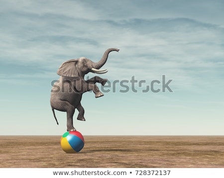 Elefant Foto stock © Orla