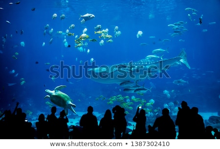 Stock photo: Aquarium