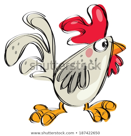 Zdjęcia stock: Cartoon Baby Rooster Naive Childish Drawing Style Isolated White