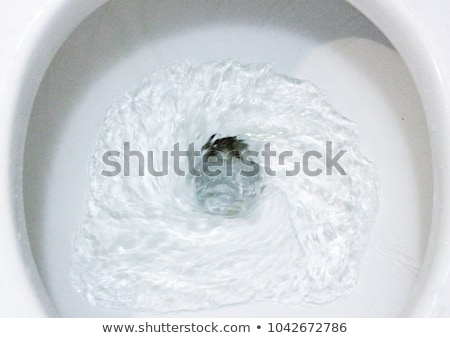 Zdjęcia stock: Płukiwana · toaleta