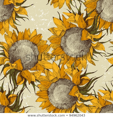 Stock photo: Sketch Sunflower Vector Vintage Seamless Pattern