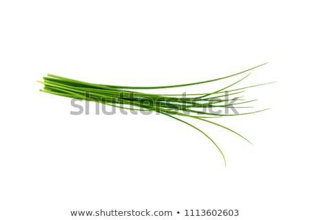 Stock photo: Fresh Chives