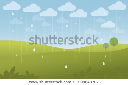 Сток-фото: Forest Scene On Rainy Day