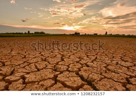 Stock photo: Drought Lands