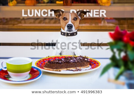 ストックフォト: Dog Eating Cake And Tea At Resataurant