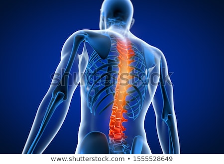 Back Pain In Human On White Background Stockfoto © cla78