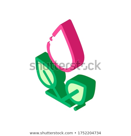 Foto stock: Drop Watering Leaves Bush Isometric Icon Vector Illustration