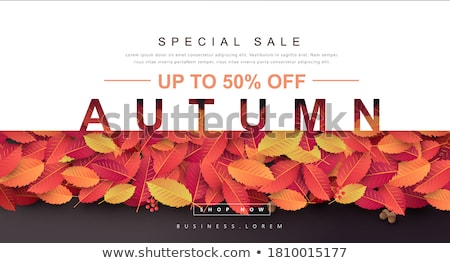 ストックフォト: Autumn Sales