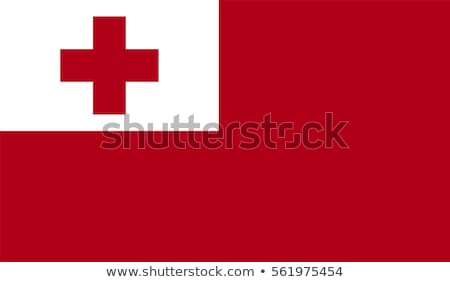 Foto stock: Tonga Flag Vector Illustration On A White Background
