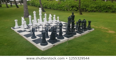 Сток-фото: Chess In Garden