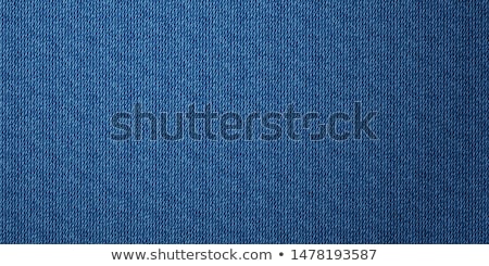 [[stock_photo]]: Realistic Denim Jeans Texture Vector