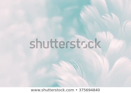 [[stock_photo]]: Beautiful Abstract Background For Congratulation Or Invitation