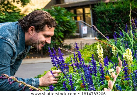 Сток-фото: Man Smelling Lavender