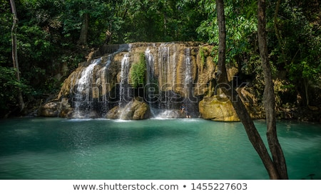 Stock foto: Tropical Rainforest Landscape With Flowing River