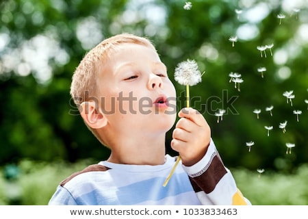 [[stock_photo]]: Boy With Dandelion