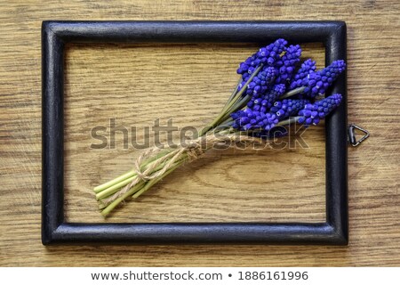 Stock fotó: Old Wooden Frame For Photo With Bunch Of Flower