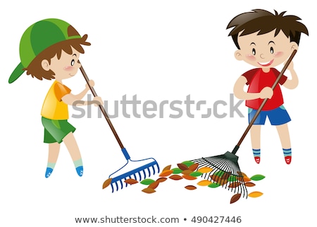 Zdjęcia stock: Boy Raking Leaves With Rake On White Background