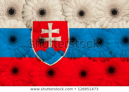 Stylized National Flag Of Slovakia With Gerbera Flowers [[stock_photo]] © vepar5