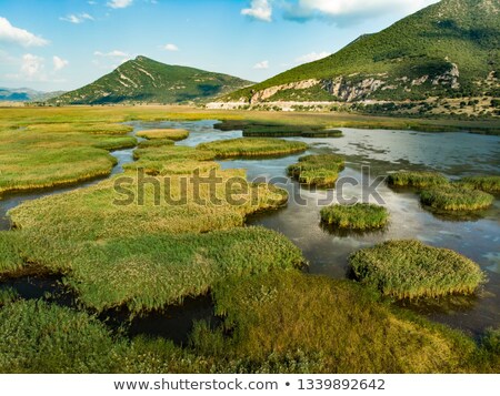 Stock photo: Stymfalia Wetland