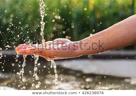 Foto stock: Water Source Polluted Water