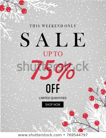 Stock foto: Final Christmas Sale Holiday Discount Gift Box