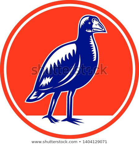 Stockfoto: South Island Takahe Circle Woodcut