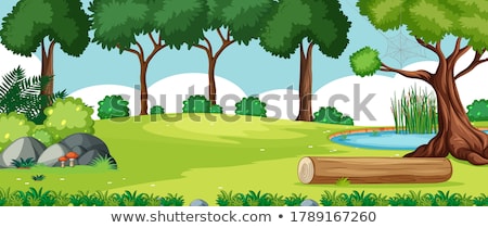 Imagine de stoc: Blank Landscape In Nature Park Scene With Many Pines And Swamp