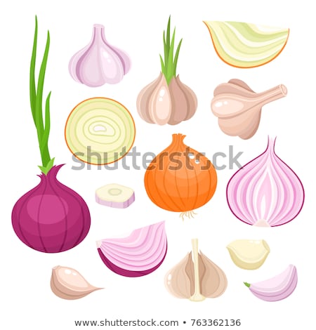 Stock photo: Garlic Set