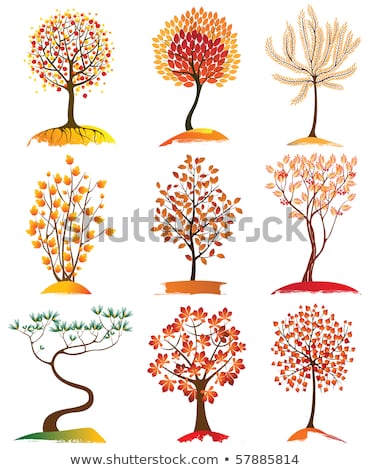 Stockfoto:  · herfst · bomen · instellen