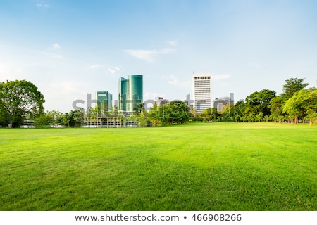 Сток-фото: Green Grass Road And Clouds