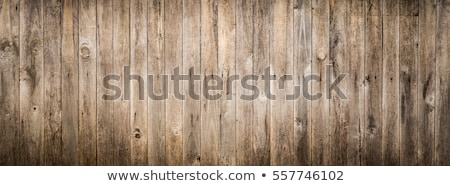 Stockfoto: Lank · van · hout