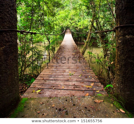 Stockfoto: Trekking Trail At Jungles Of Ropical Rain Forest Thailand