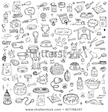 Stock photo: Vector Graphic Icon Set Of Vet And Pet Supplies