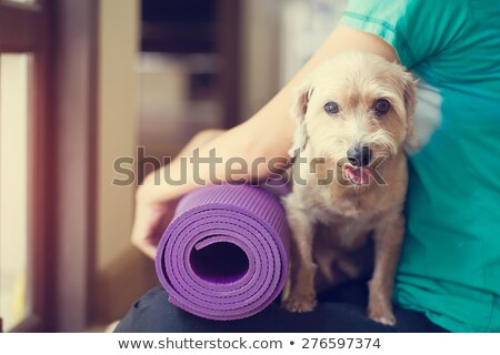 [[stock_photo]]: Quagym · - · 4