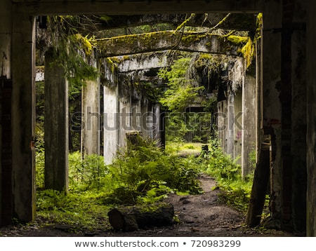 ストックフォト: Old Abandoned Building