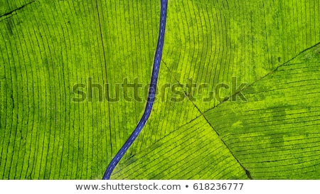 Stok fotoğraf: Aerial View Of Green Fields And Slopes