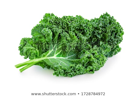 Stock photo: Kale Leaf