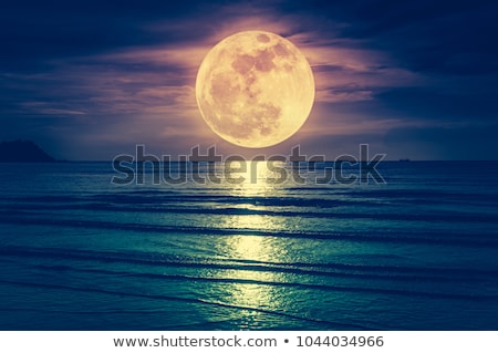 Stok fotoğraf: Full Moon Nature Scene