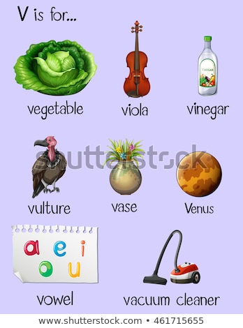 Stok fotoğraf: Flashcard Letter V Is For Vegetable