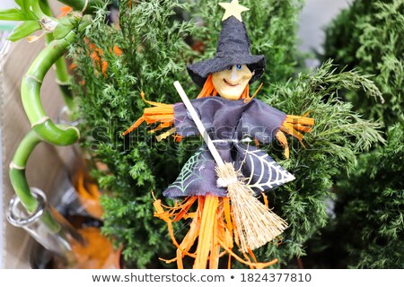 Сток-фото: Halloween Witch Figurine