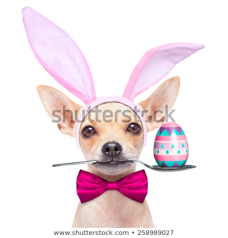 [[stock_photo]]: Dog With Spoon And Easter Egg