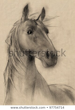 Stockfoto: Aard · Hoofd · Van · Bruin · Paard · Vintage · Afgezwakt