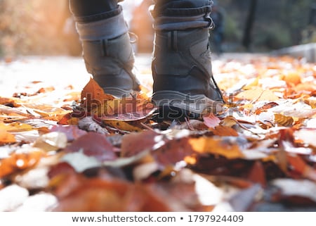 Stock photo: Hiking Boots