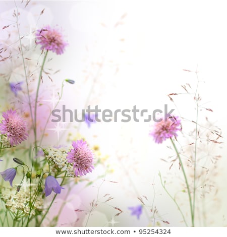 Foto stock: Abstract Floral Background With Bunch Of Flower And Frame