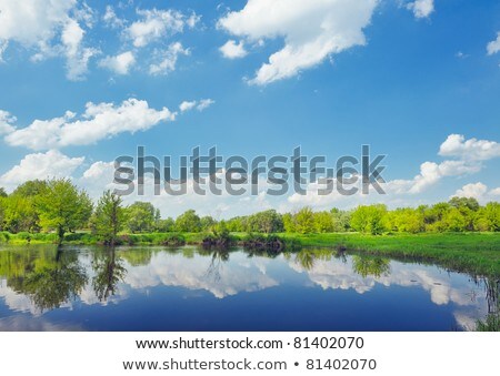 Rural Landscape With Flood Waters Of Narew River Poland Stock fotó © bogumil