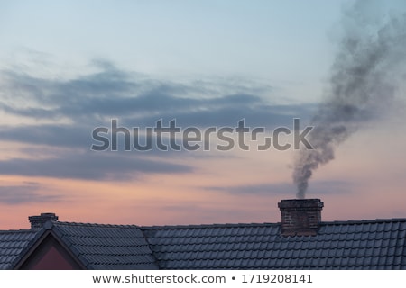 Zdjęcia stock: Rooftops With Smoking Chimneys In Winter