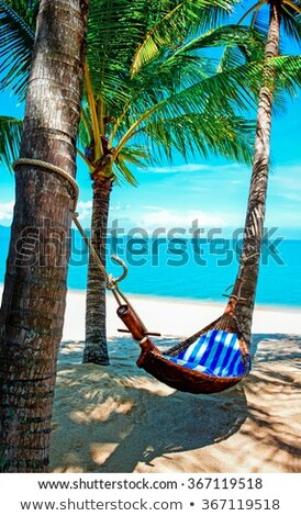 Foto stock: Empty Hammock Between Palm Trees On A Beach