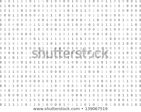 Binary Number System Foto stock © iunewind