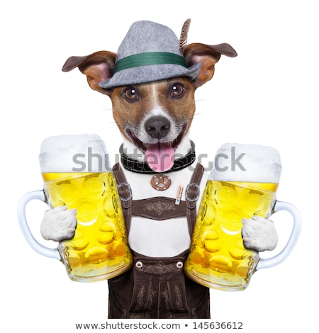 Stockfoto: Bavarian Beer Dog